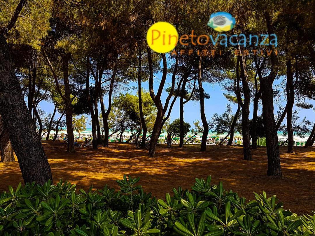 Myconos C2 - Pineto Vacanza Buitenkant foto